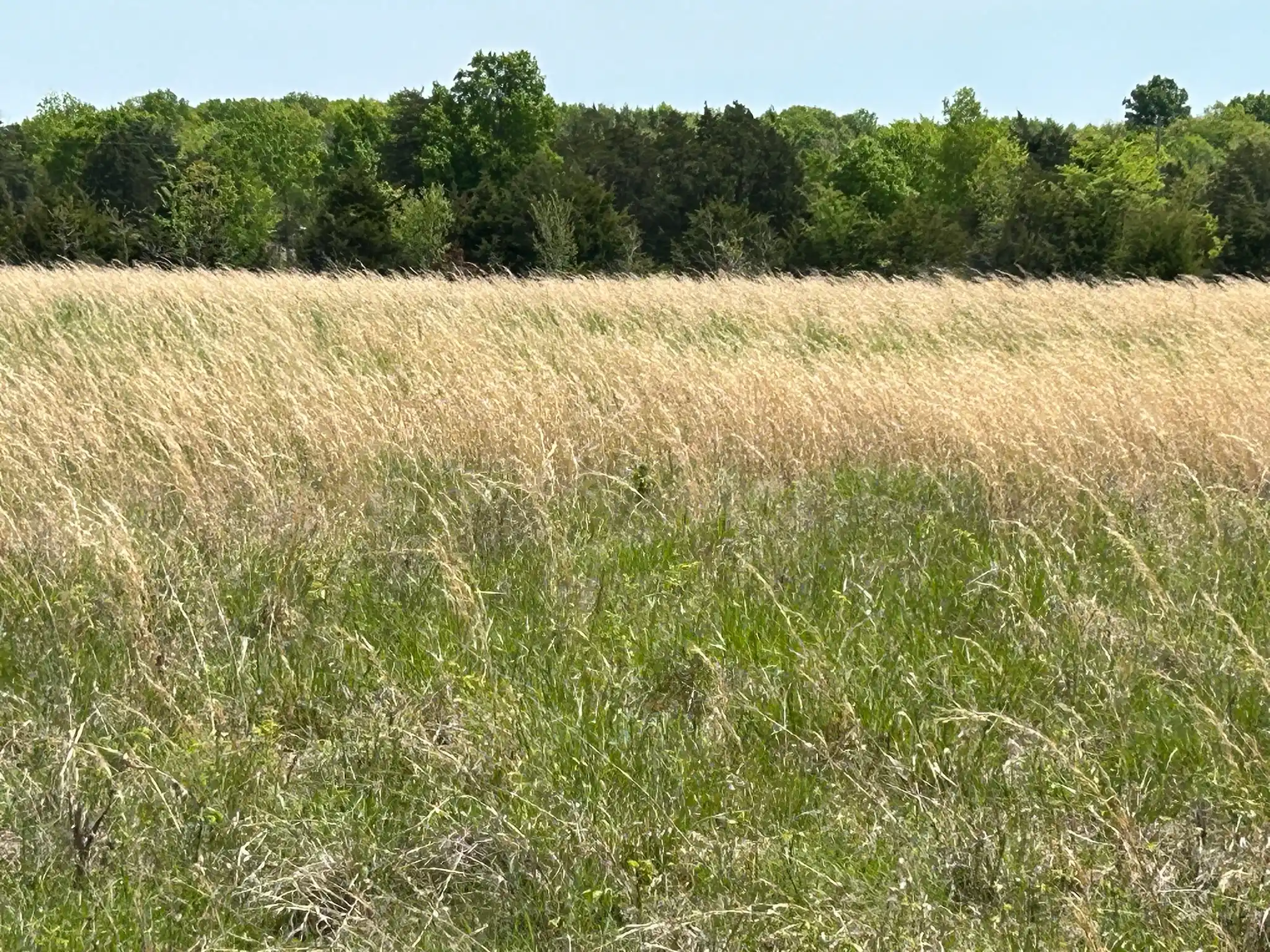 Land Clearing in Murfreesboro