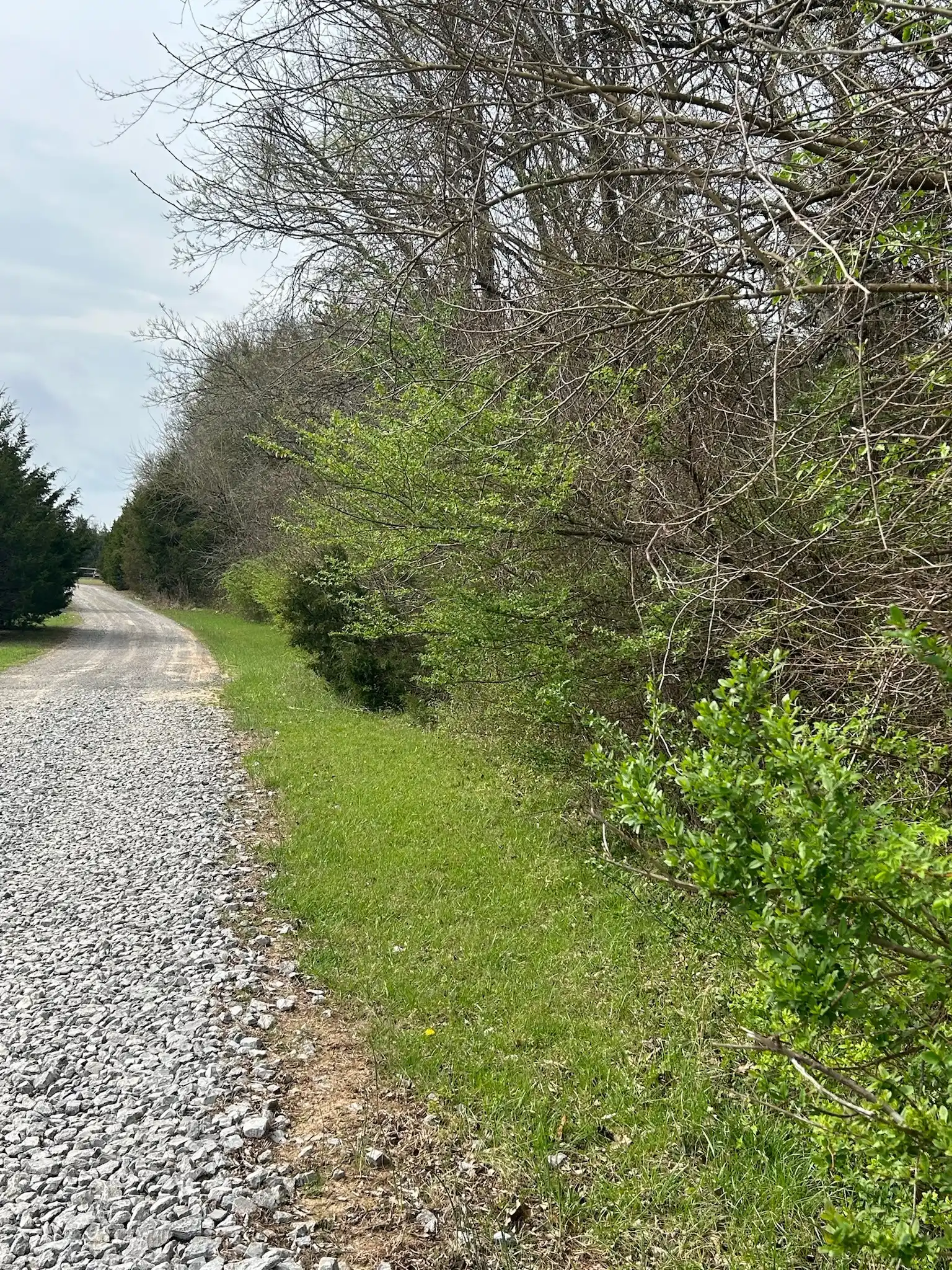 Land Contouring Service in Tullahoma