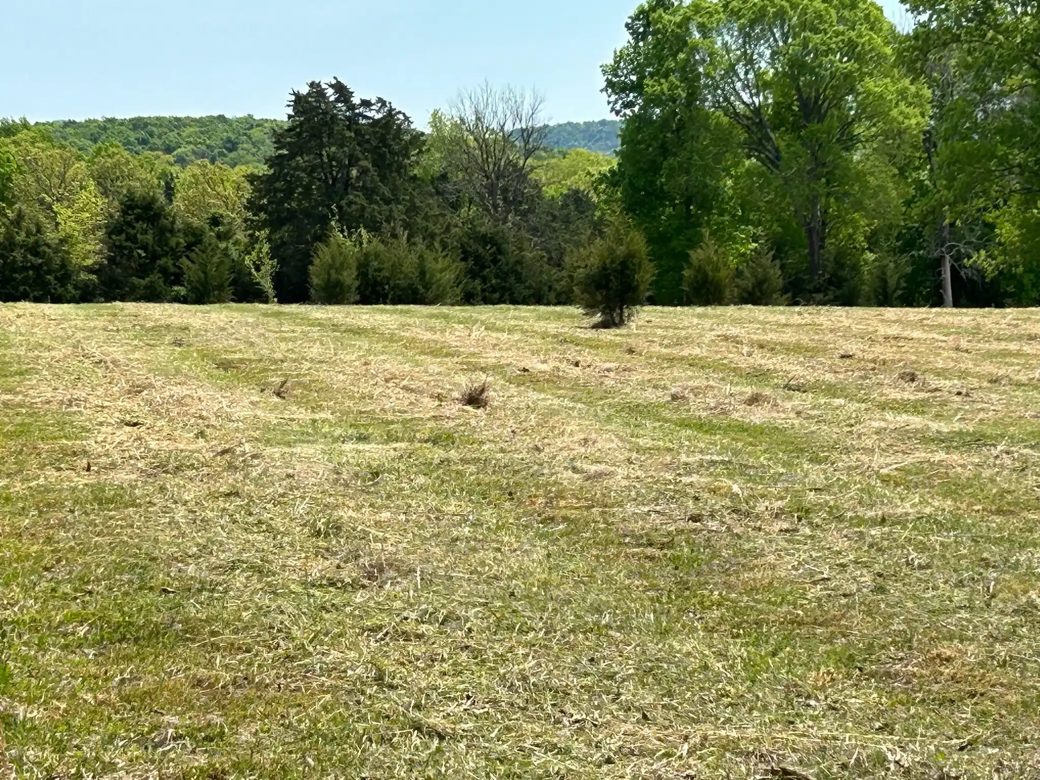 Lebanon, TN Land Clearing