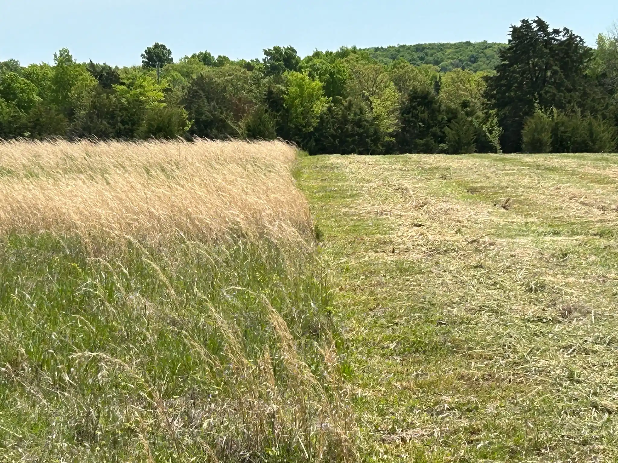 Murfreesboro, Land Clearing Service