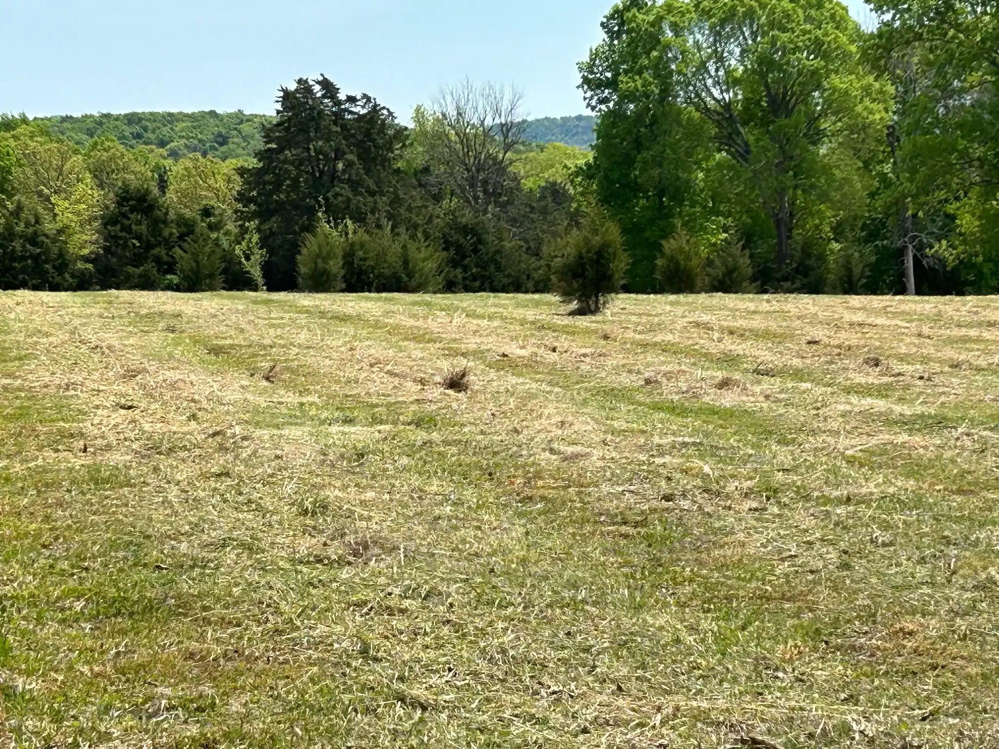 Murfreesboro, TN Land Clearing