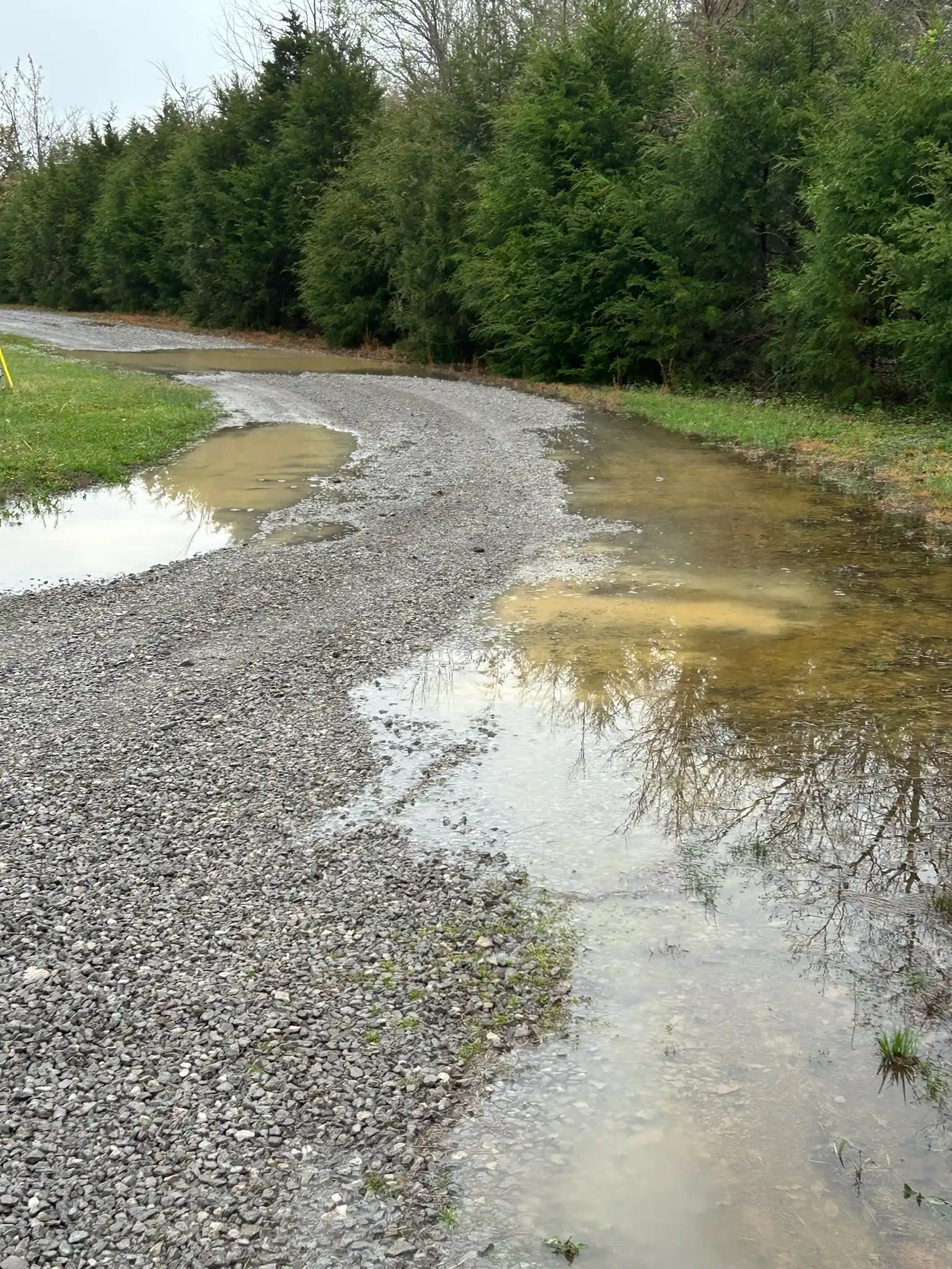 Yard Drainage Service in Lebanon, TN